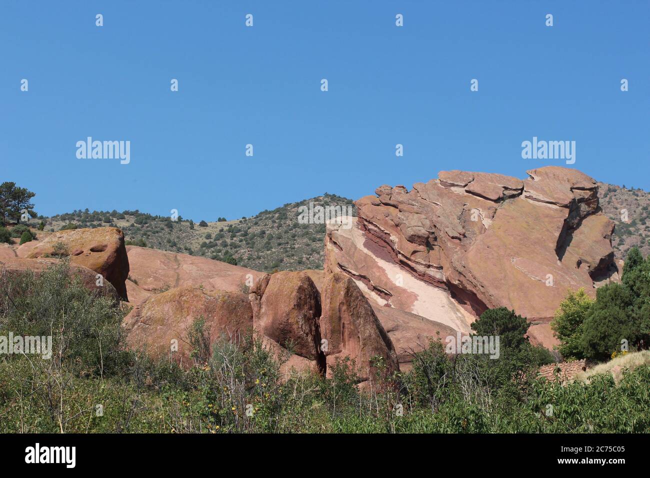 Große gescherte Felsformationen zwischen immergrünen, Bäumen und Sträuchern auf dem Trading Post Trail im Red Rocks State Park, Colorado, USA Stockfoto
