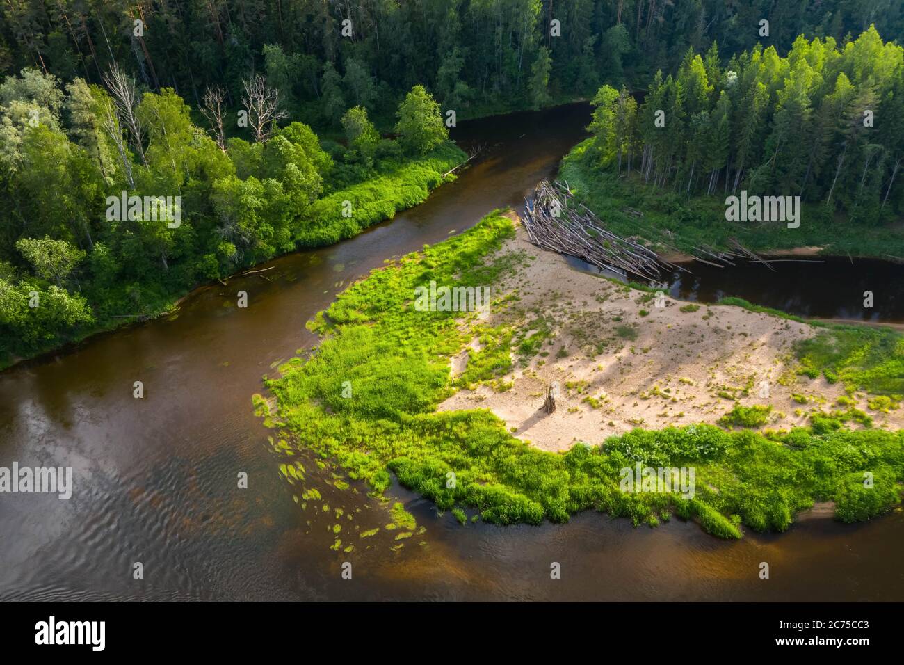 Top Drohnen Landschaft von Sommerwald und dem Fluss. Grüne Bäume. Holzstapel für Feuer. Mittsommerfest. Stockfoto