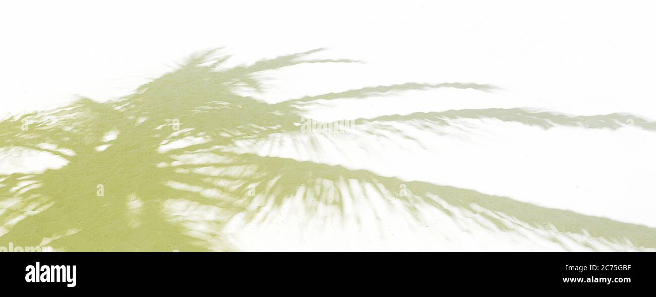 Palm Leaf Schatten auf weißem Sand am tropischen Strand. Trendy urlaub Konzept. Selektive konzentrieren. Stockfoto
