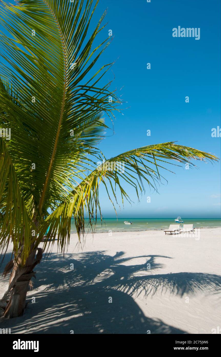 Palmen und Sonnenbaden am Strand mit Blue Sky - Holbox Island, Mexiko - der ideale Ort zum Entspannen Stockfoto