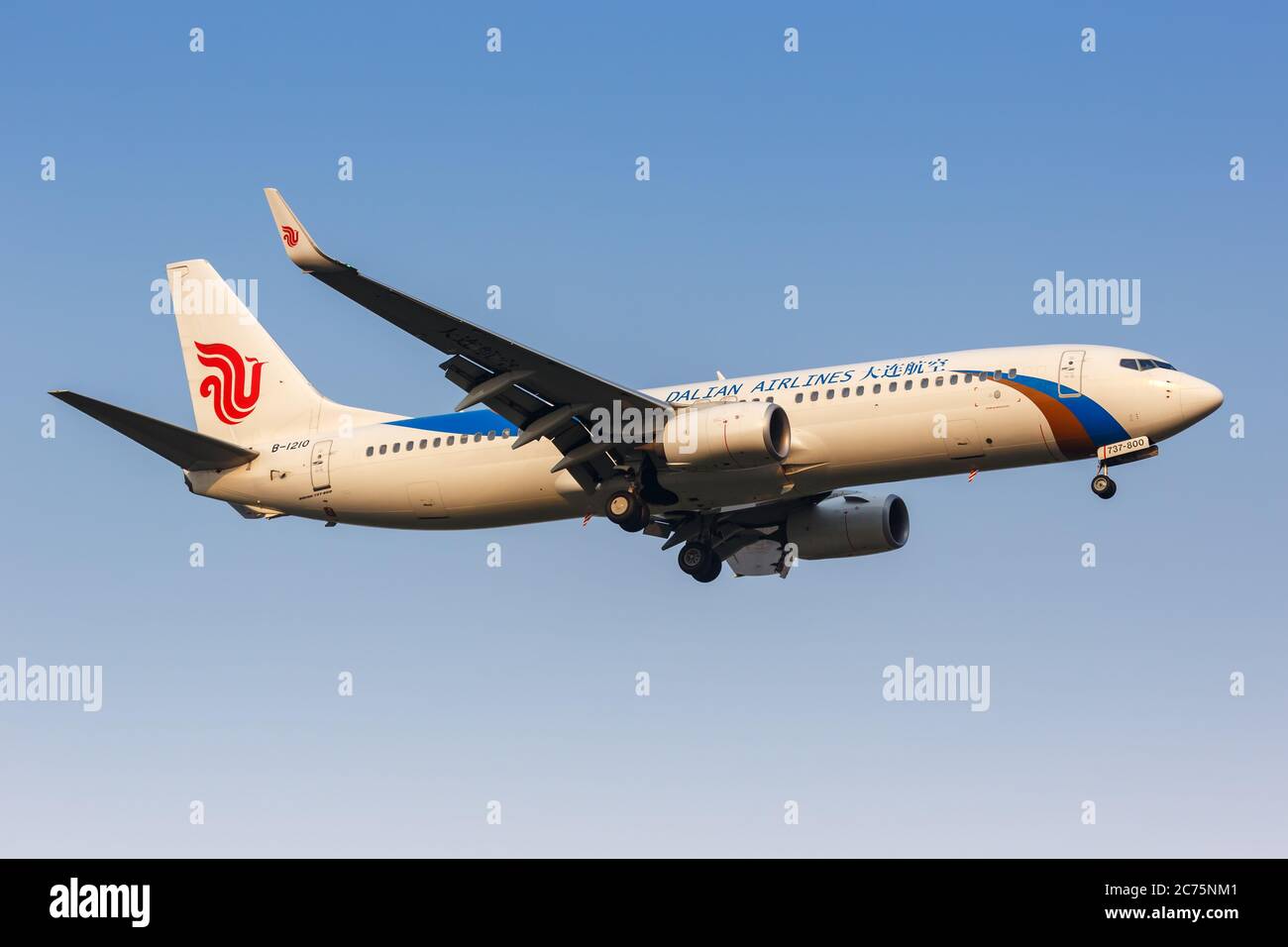 Peking, China - 1. Oktober 2019: Boeing 737-800 von Dalian Airlines am Flughafen Beijing Capital (PEK) in China. Boeing ist ein amerikanisches Flugzeug ma Stockfoto