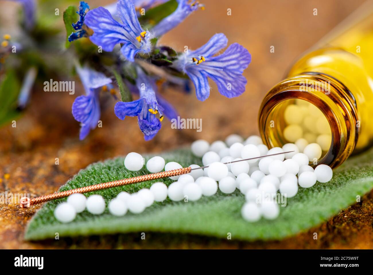 Alternative Medizin mit Akupunktur und pflanzliche Pillen Stockfoto