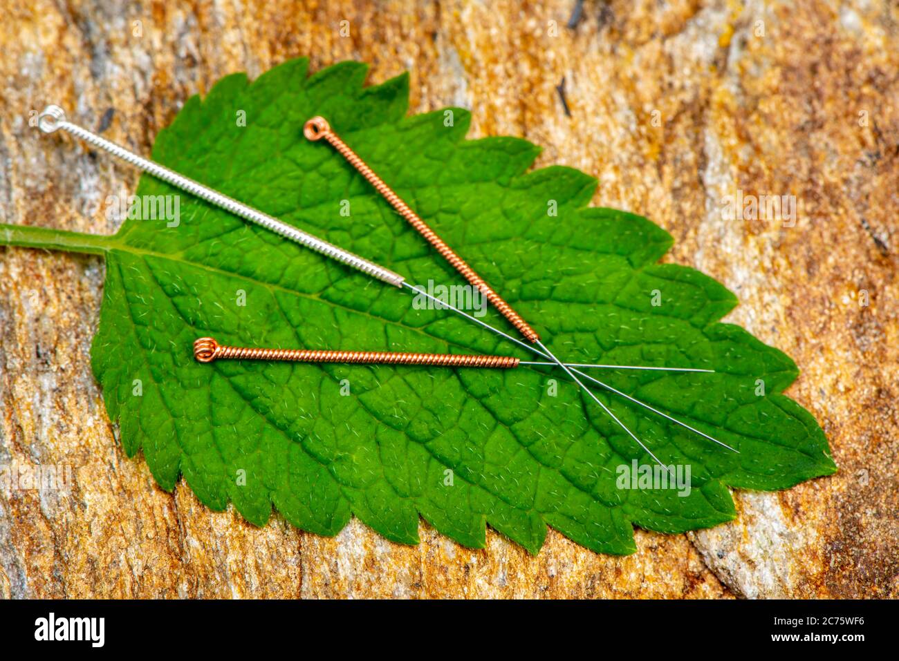 Alternative Medizin mit Akupunktur und Heilpflanze Stockfoto