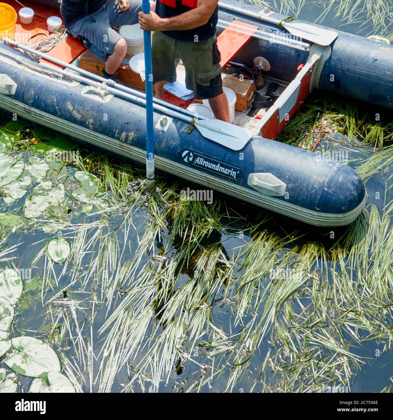 Celle, 17. Juni 2010: Entnahme einer Sedimentprobe aus einem aufblasbaren Boot mit einem Sedimentsammler Stockfoto