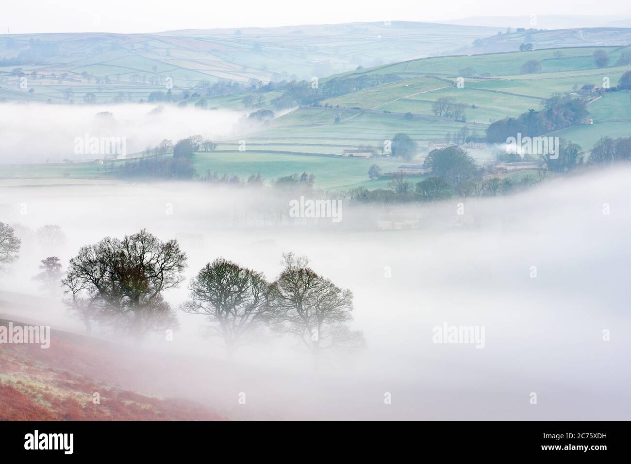 Die Landschaft rund um Burnsall in den Yorkshire Dales nimmt in hellem Pastellton am frühen Morgen Licht auf, während Nebel um das umliegende Tal schwebt. Stockfoto