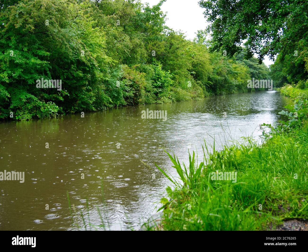 Halsall auf der Leeds nach Liverpool Kanal in Lancashire, Großbritannien - ein ruhiger, ruhiger Abschnitt des Kanals. An einem ruhigen regnerischen Tag im Sommer. Stockfoto