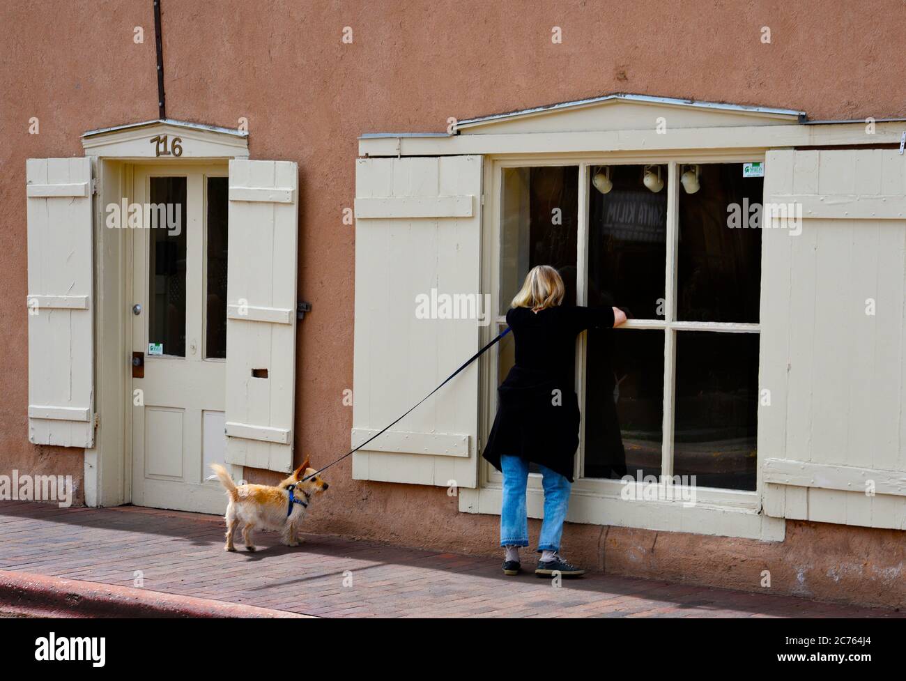 pet stroller ireland