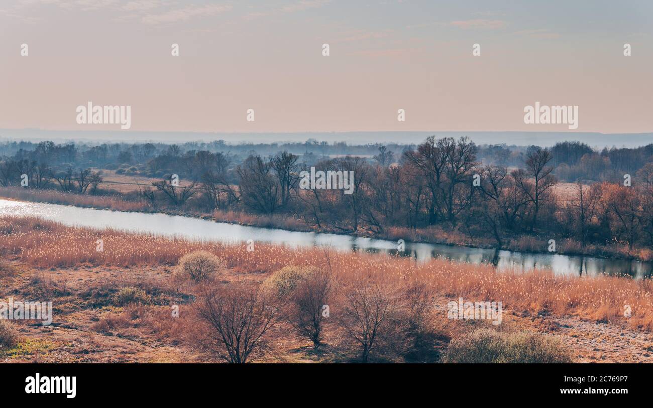 Ein ruhiger Fluss in einer grünen ländlichen Gegend. Schöne Landschaft mit einem Fluss mit ruhigem Wasser, neben einem Quellwald in der Natur. Eine schmale, windende Stockfoto