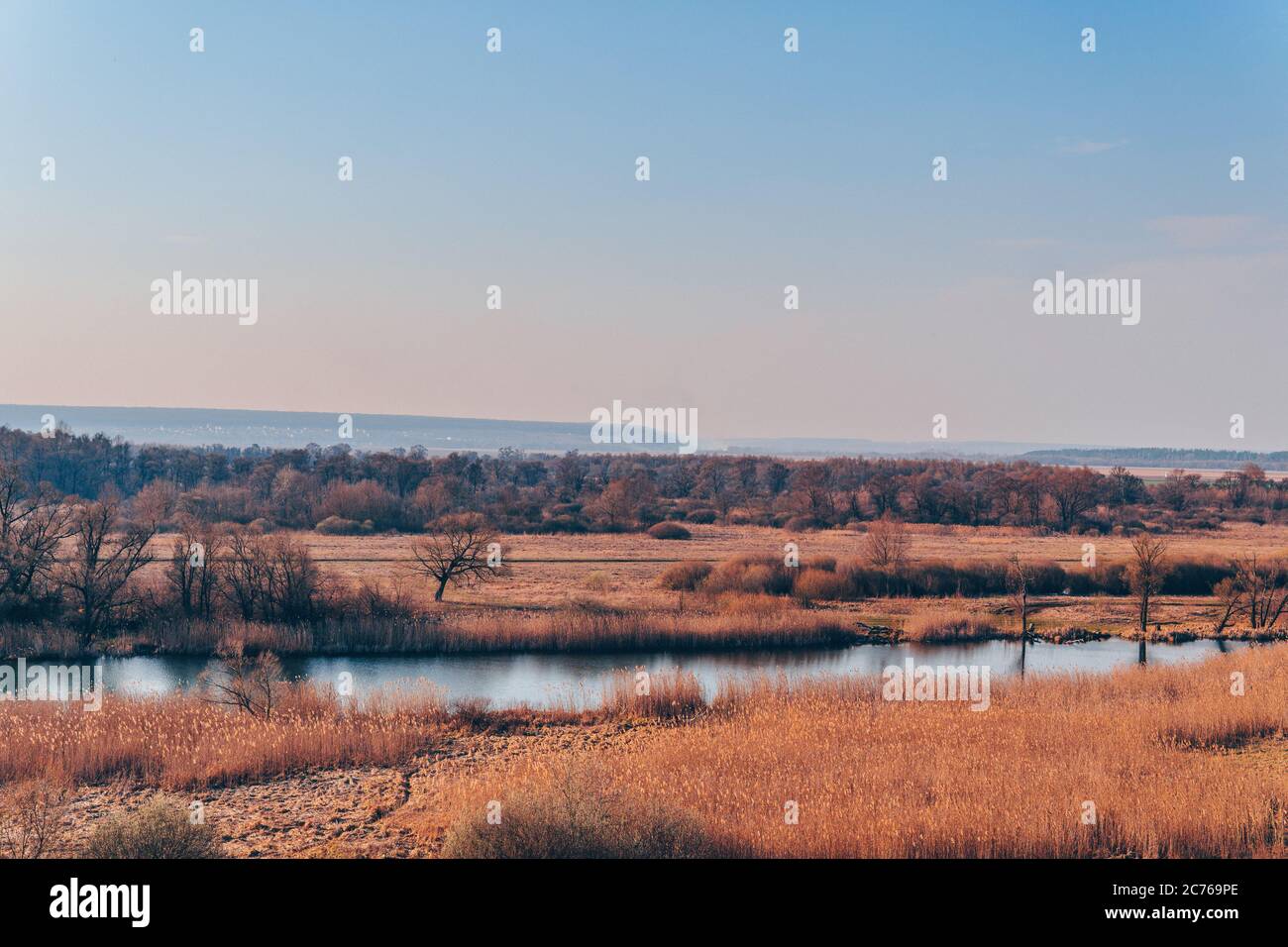 Ein ruhiger Fluss in einer grünen ländlichen Gegend. Schöne Landschaft mit einem Fluss mit ruhigem Wasser, neben einem Quellwald in der Natur. Eine schmale, windende Stockfoto