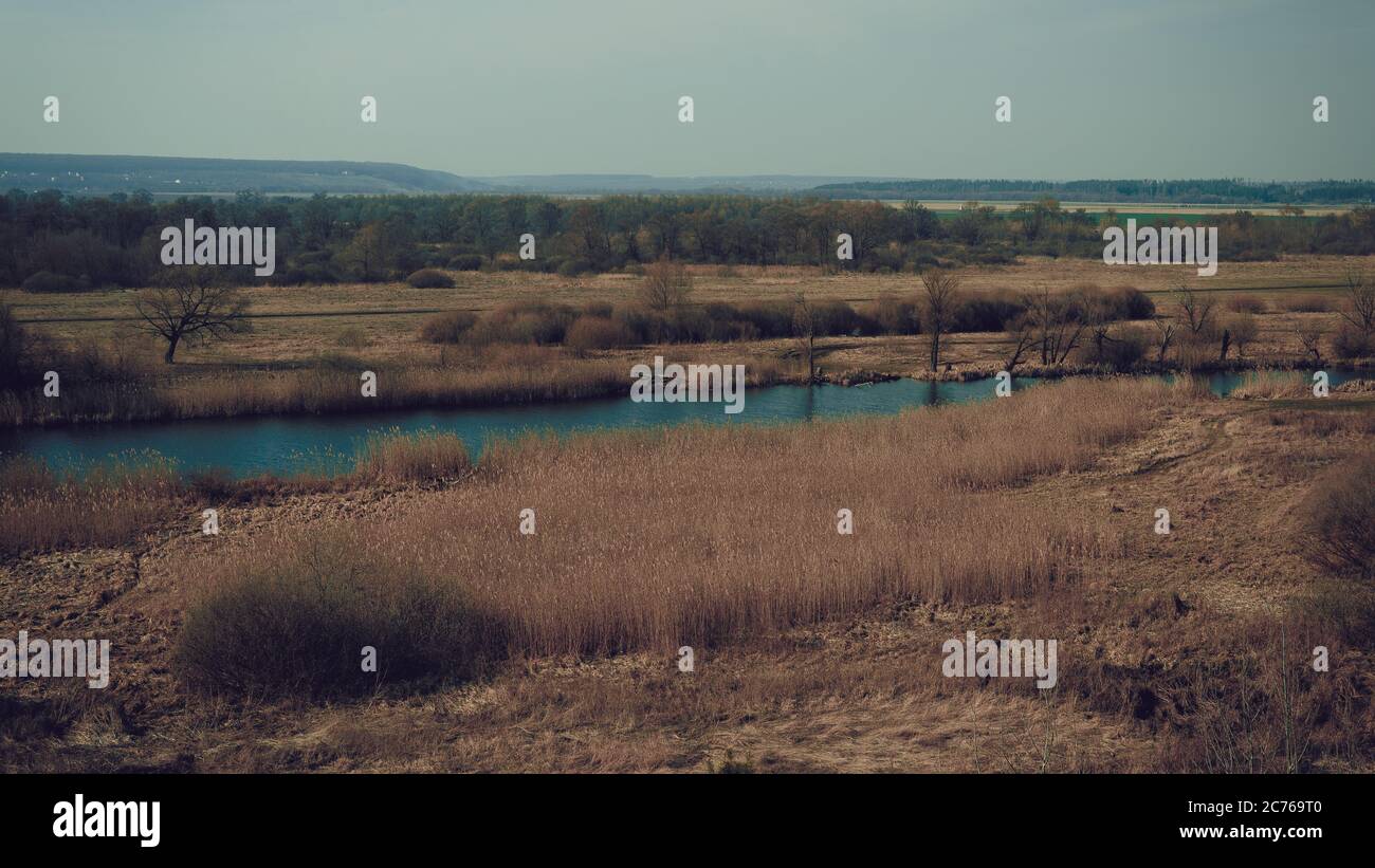 Ein ruhiger Fluss in einer grünen ländlichen Gegend. Schöne Landschaft mit einem Fluss mit ruhigem Wasser, neben einem Quellwald in der Natur. Eine schmale, windende Stockfoto
