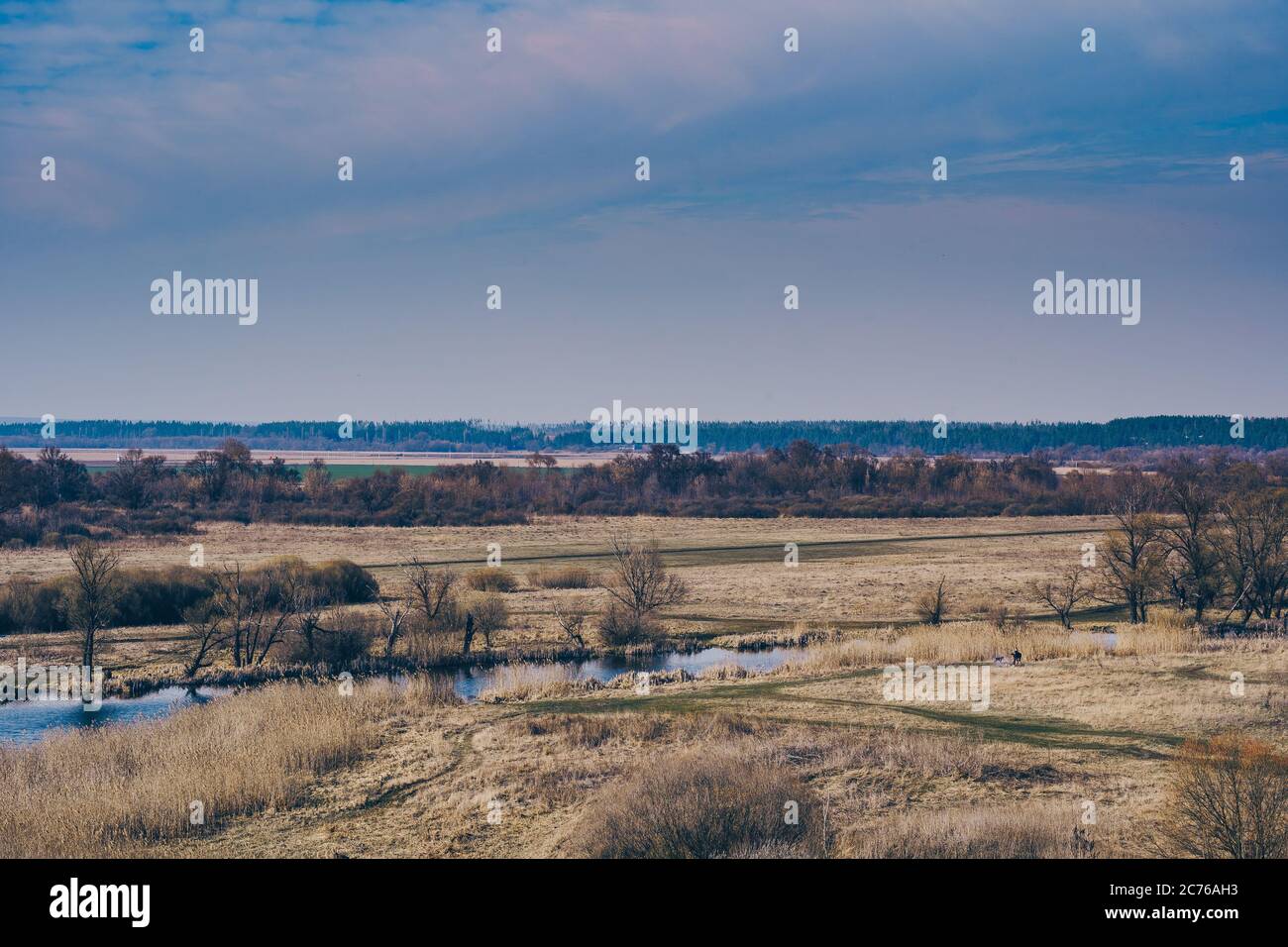 Ein ruhiger Fluss in einer grünen ländlichen Gegend. Schöne Landschaft mit einem Fluss mit ruhigem Wasser, neben einem Quellwald in der Natur Stockfoto