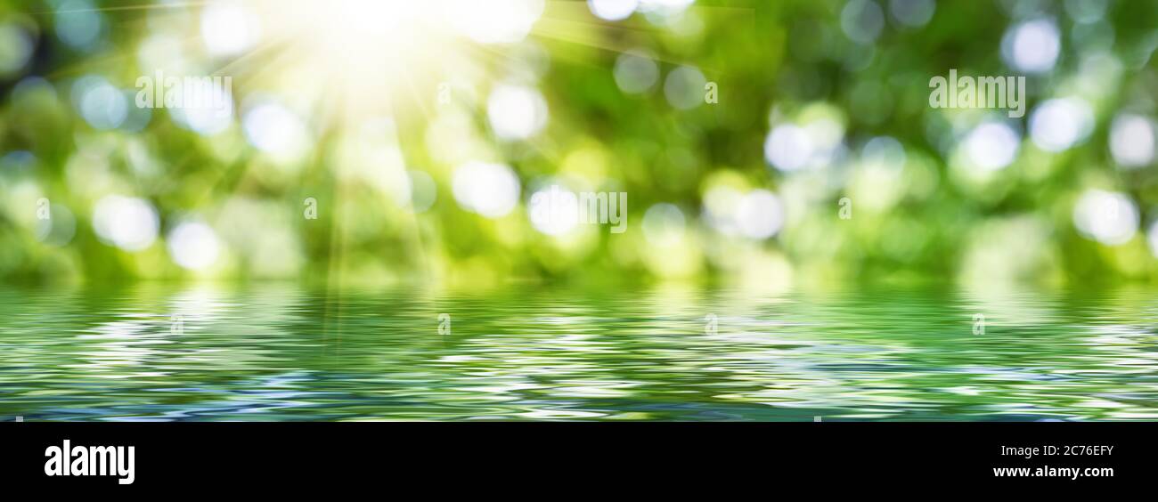 Unscharfes Bild des natürlichen Hintergrunds mit Wasser, Pflanzen und Bokeh-Licht. Abstraktes grünes Bokeh. Stockfoto