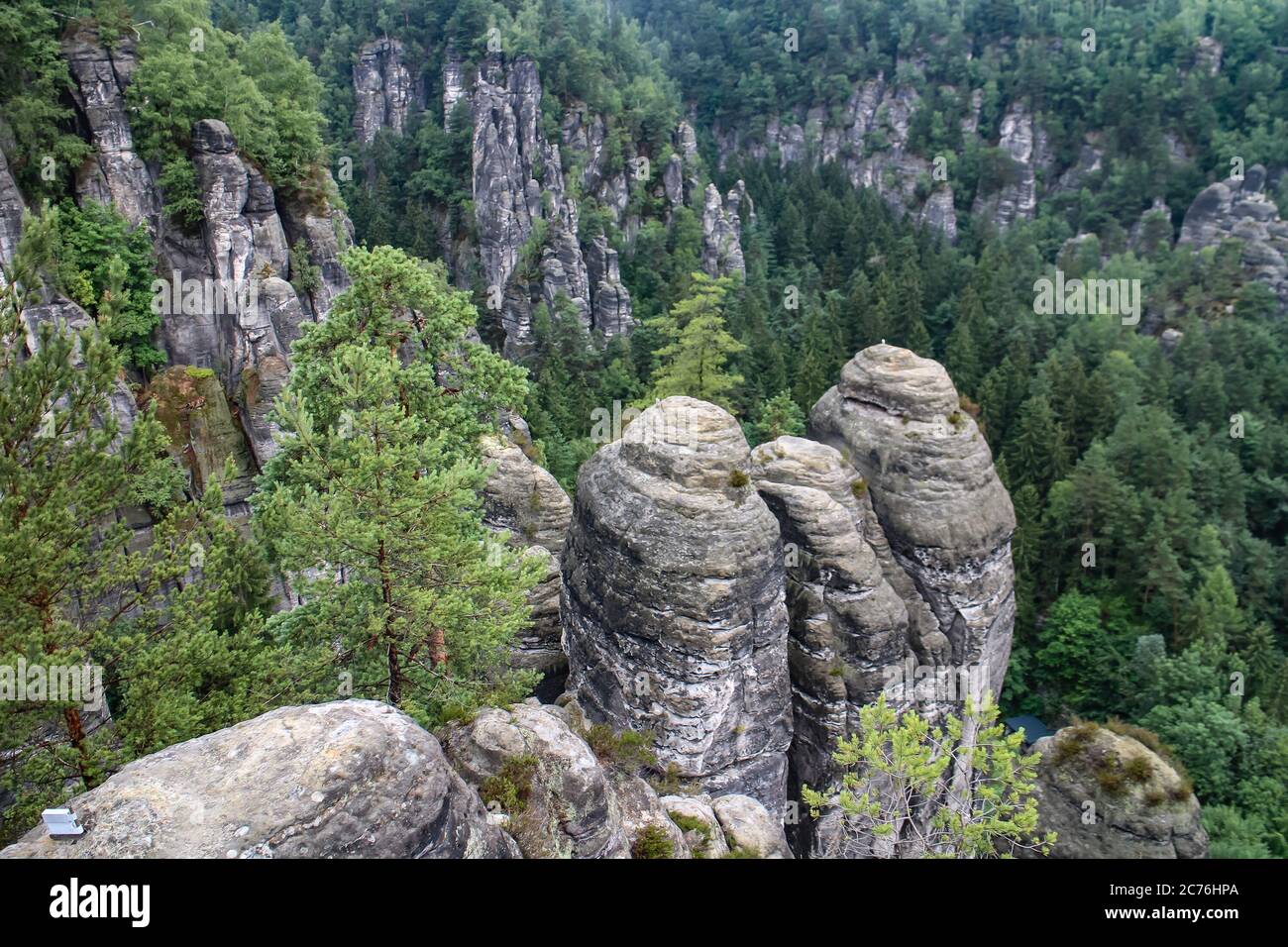Felskeilchen im Nationalpark Sächsische Schweiz, dem deutschen Teil des Elbsandsteingebirges, gesehen auf dem Malerweg Wanderweg in Sachsen, Deutschland. Stockfoto