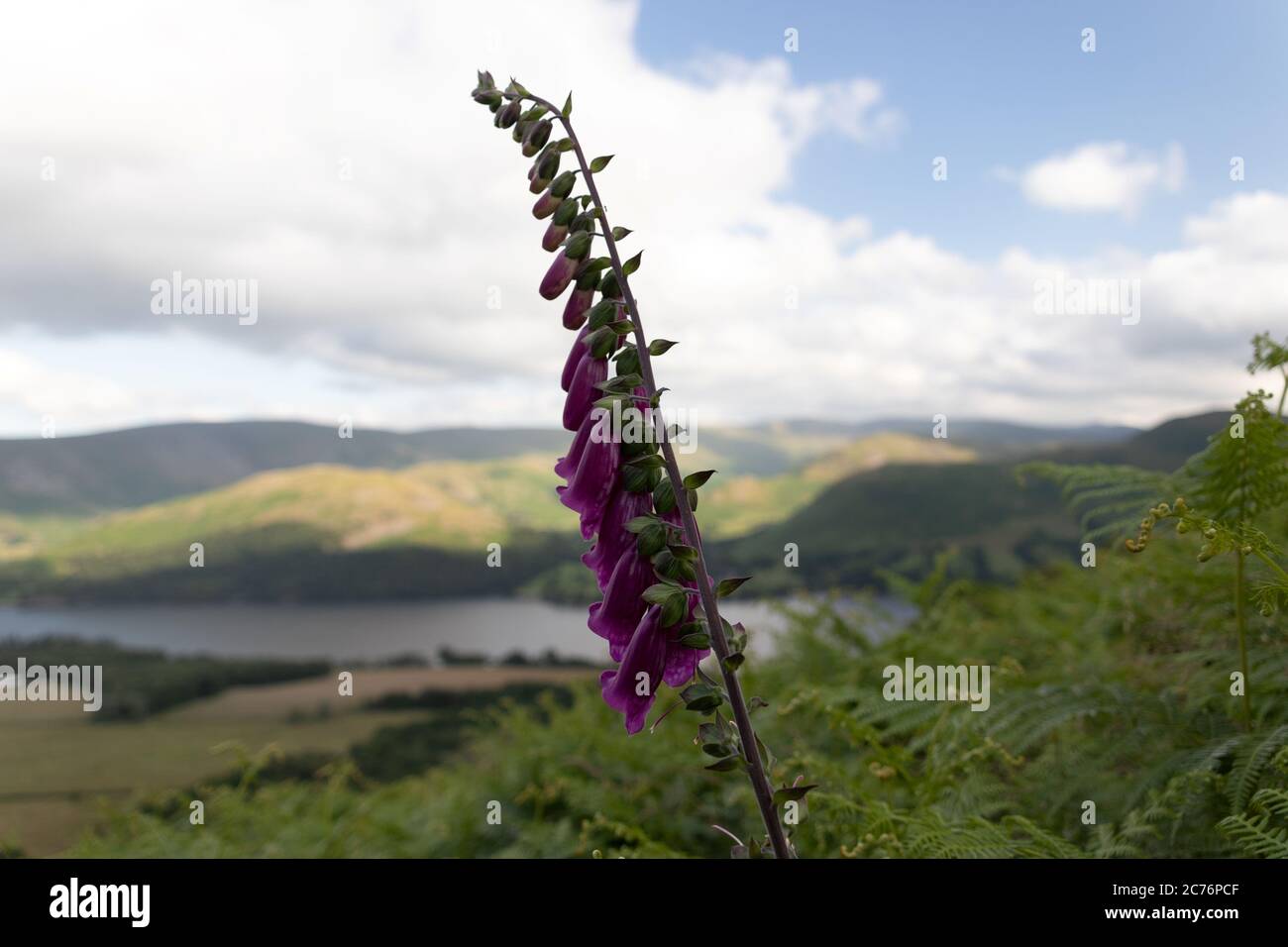 Ein Spaziergang um Ullswater im Seengebiet Stockfoto