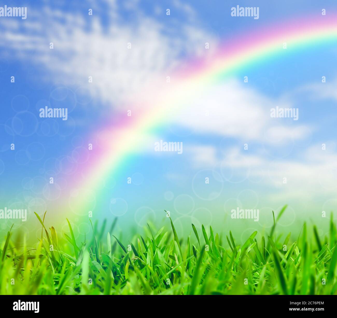 Grünes Gras und blauer Himmel mit einem Regenbogen, Frühling Natur Hintergrund Stockfoto