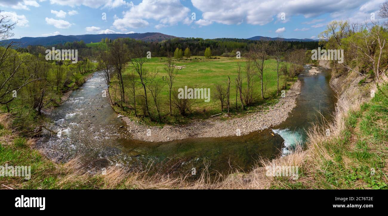 Wetlina River U Turn. Sehr große Panoramaaufnahme der Wetlina Flussbiegung in Form des Buchstaben U. IM Hintergrund IST EINE Herde Schafe zu sehen. Stockfoto