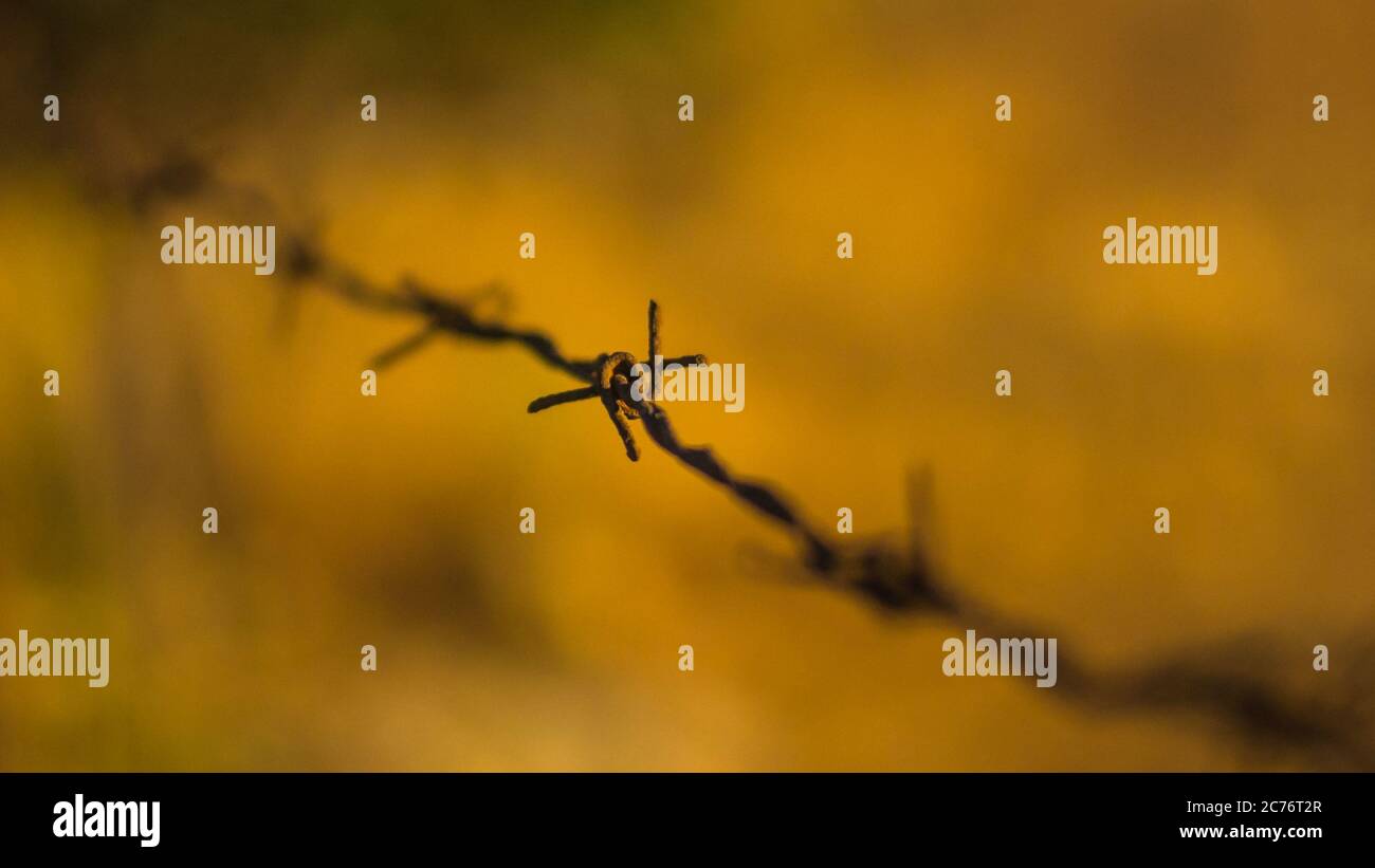 Rostiger Stacheldraht. Detailaufnahme. Stockfoto