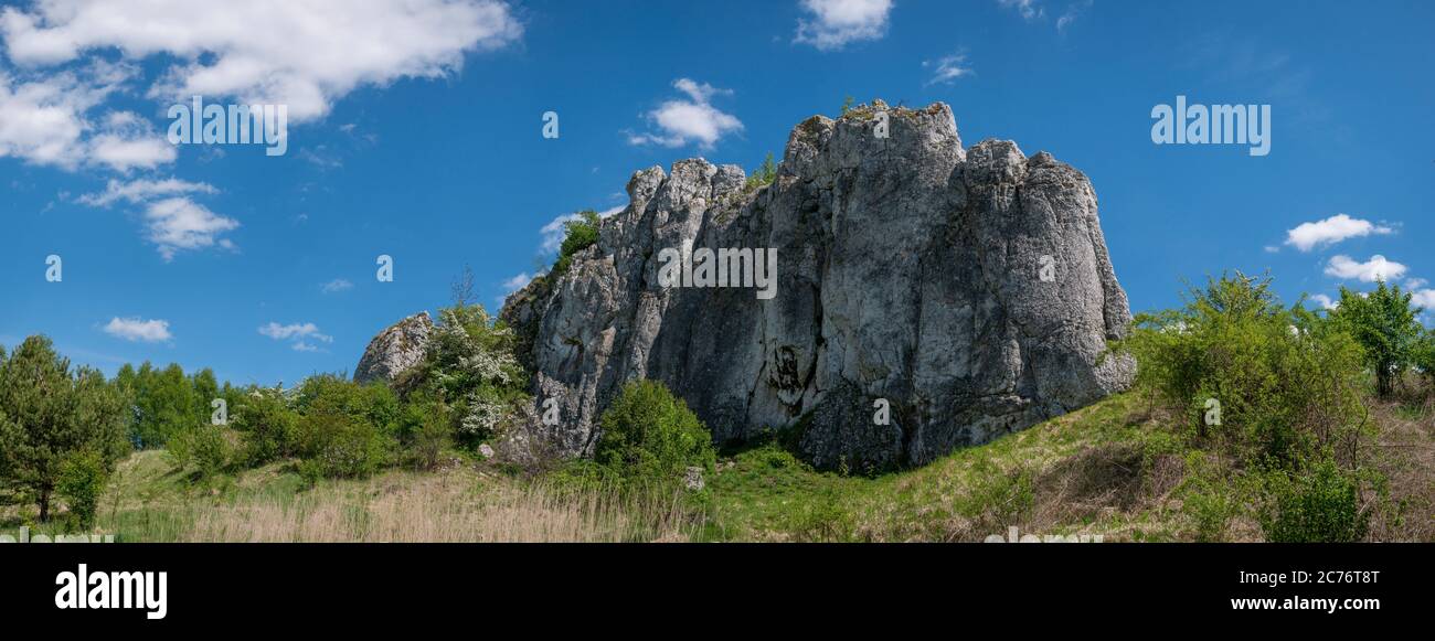 Rakuch ist ein einsamer Felsen aus Kalkstein, der zwischen kultivierten Feldern 12-16m hoch liegt. Stockfoto