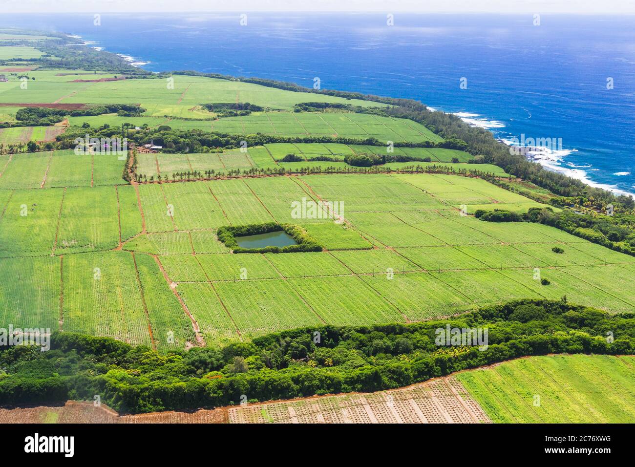 Luftaufnahme von Zuckerrohrfeldern, Mauritius, Afrika Stockfoto