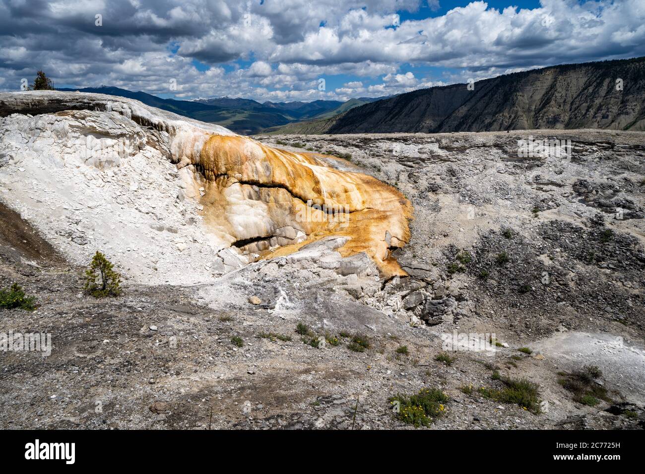 Amor Spring, eine heiße geothermische Quelle in den oberen Terrassen im Mammoth Hot Springs Yellowstone National Park Stockfoto