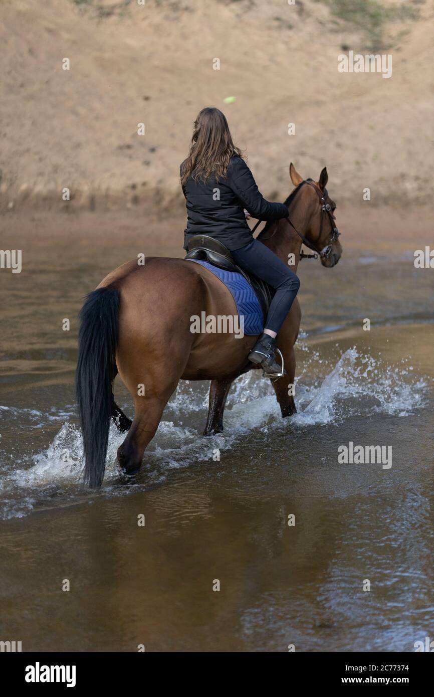 Ein Mädchen fording auf einem Pferd entlang eines Flusses mit einem sandigen Ufer Stockfoto