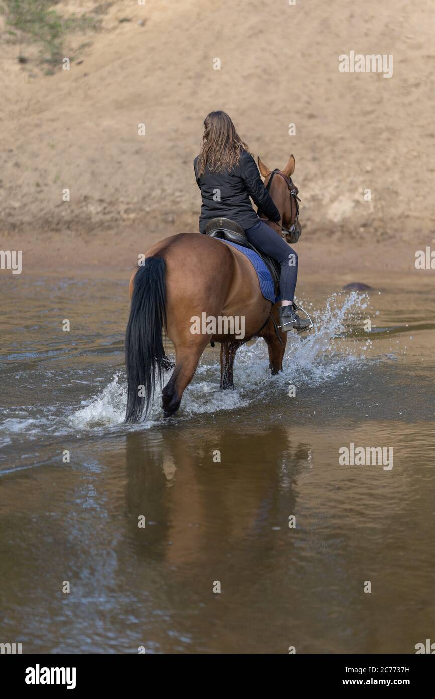 Ein Mädchen fording auf einem Pferd entlang eines Flusses mit einem sandigen Ufer Stockfoto