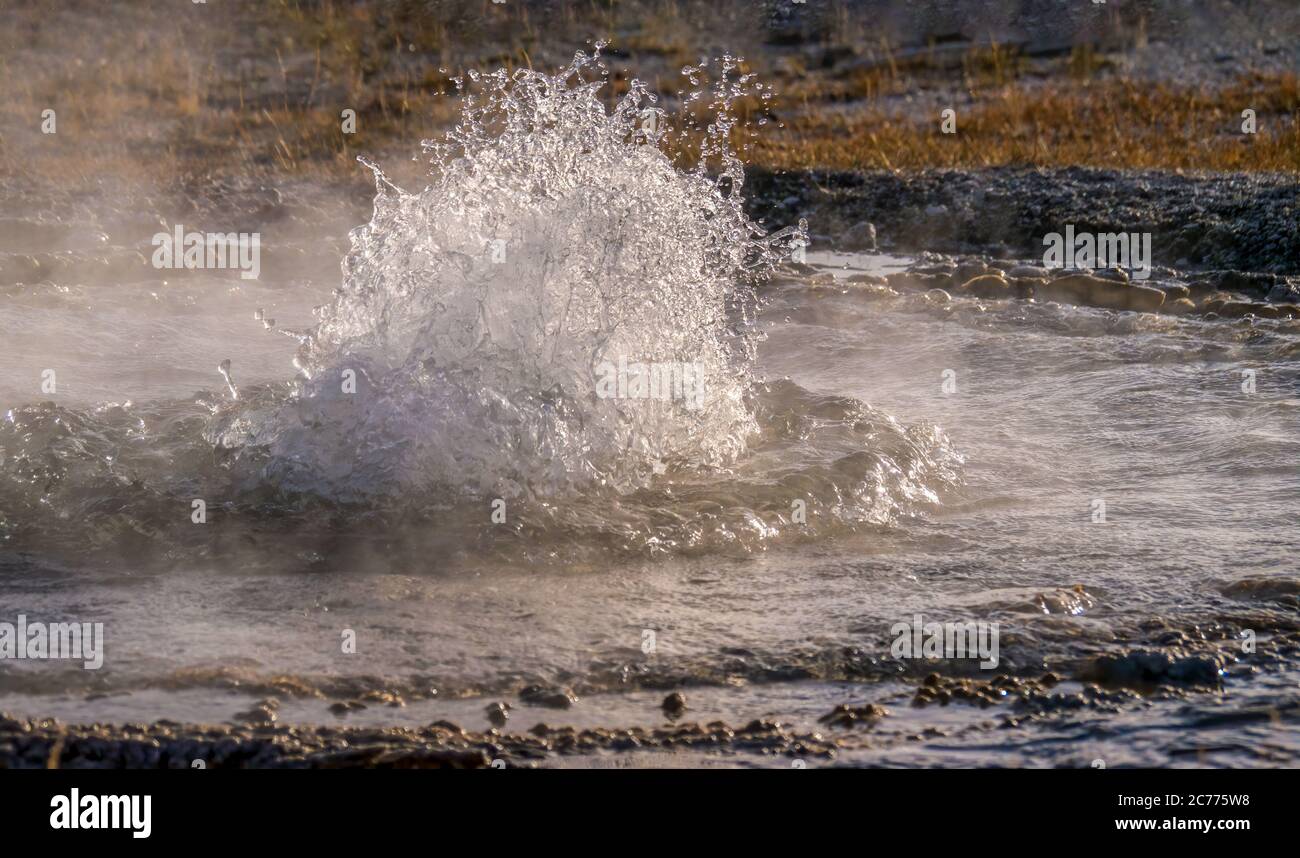 Ein kleiner Geysir, der Blasen und Dampf erzeugt, wenn eine Eruption im Upper Geyser Basin im Yellowstone National Park, Wyoming, USA, beginnt. Stockfoto