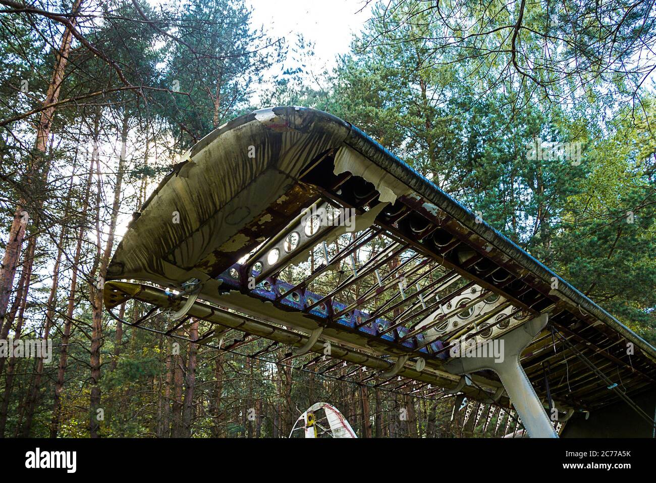 Alte verlassene Flugzeuge im Wald Stockfoto