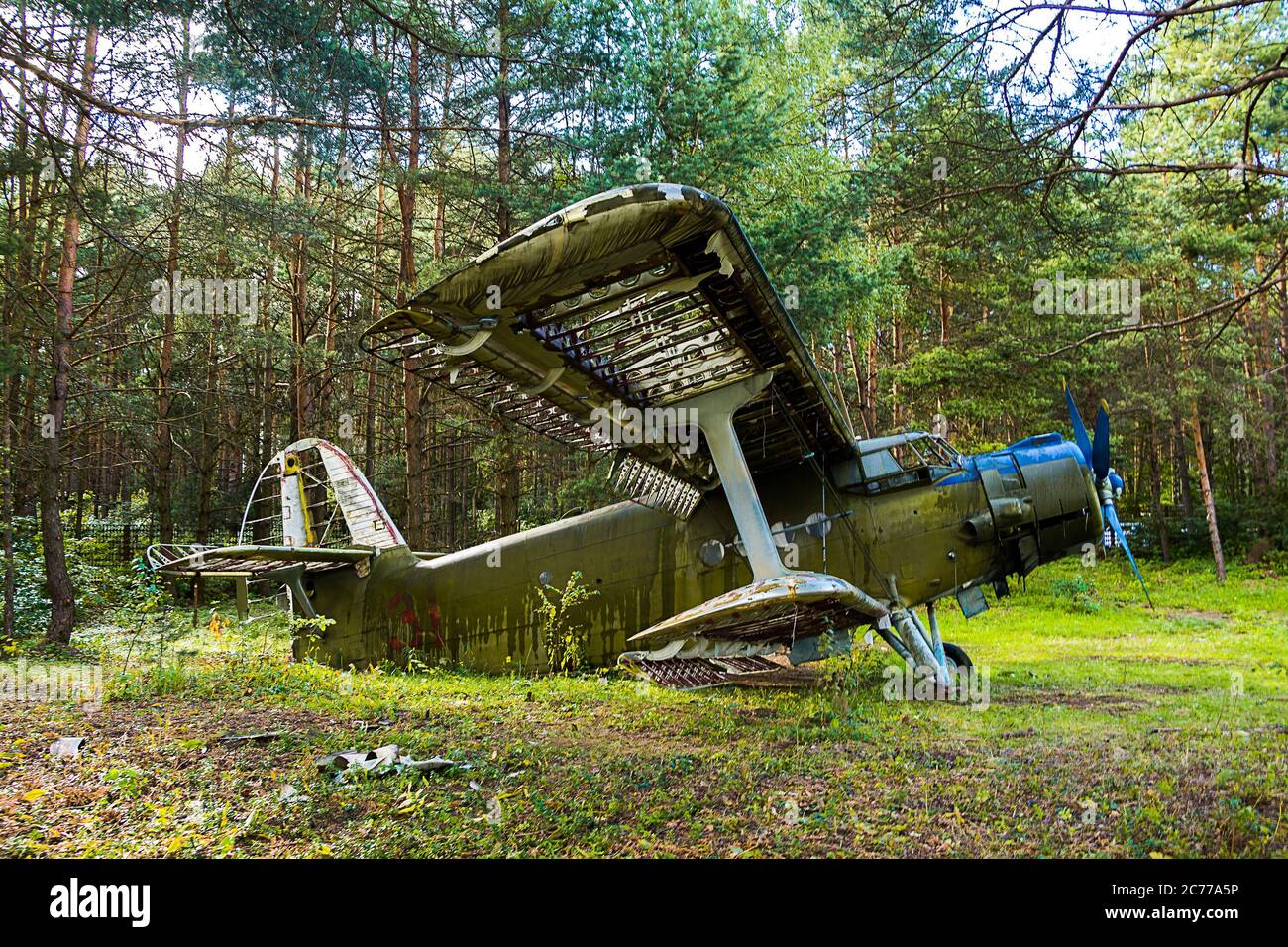 Alte verlassene Flugzeuge im Wald Stockfoto