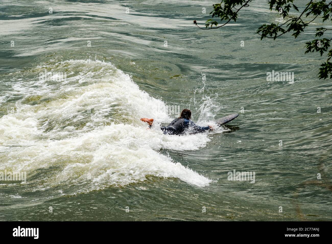 Surfen im St. Lawrence River in Montréal - Québec, Kanada Stockfoto