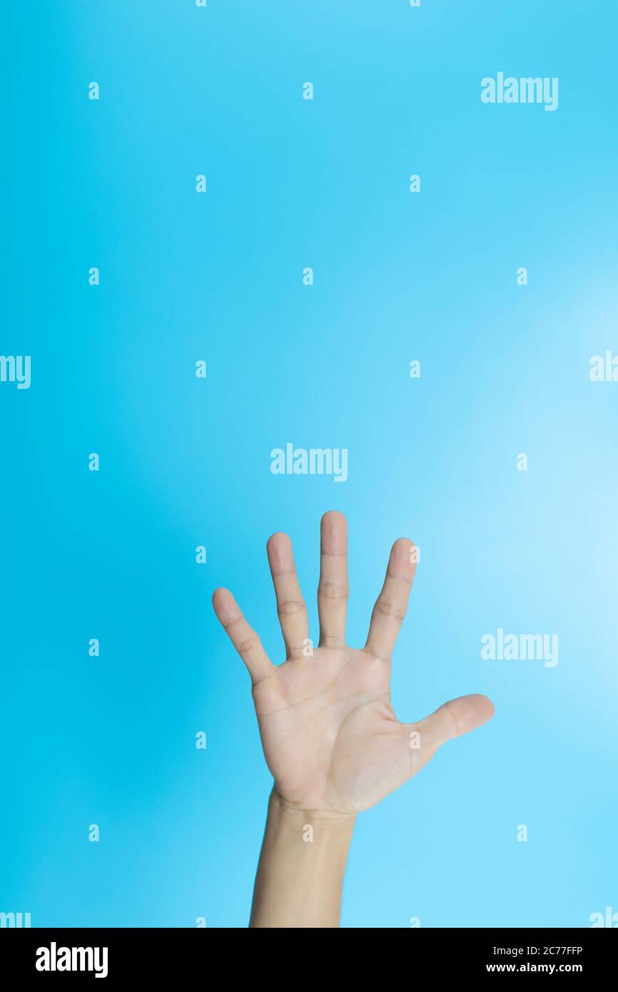 Frau Hand zeigen 5 Finger Zeichen auf hellblauem Hintergrund. Nummer fünf. Frau öffnen Handfläche fünf Finger auf blauem Hintergrund mit Kopierraum Stockfoto