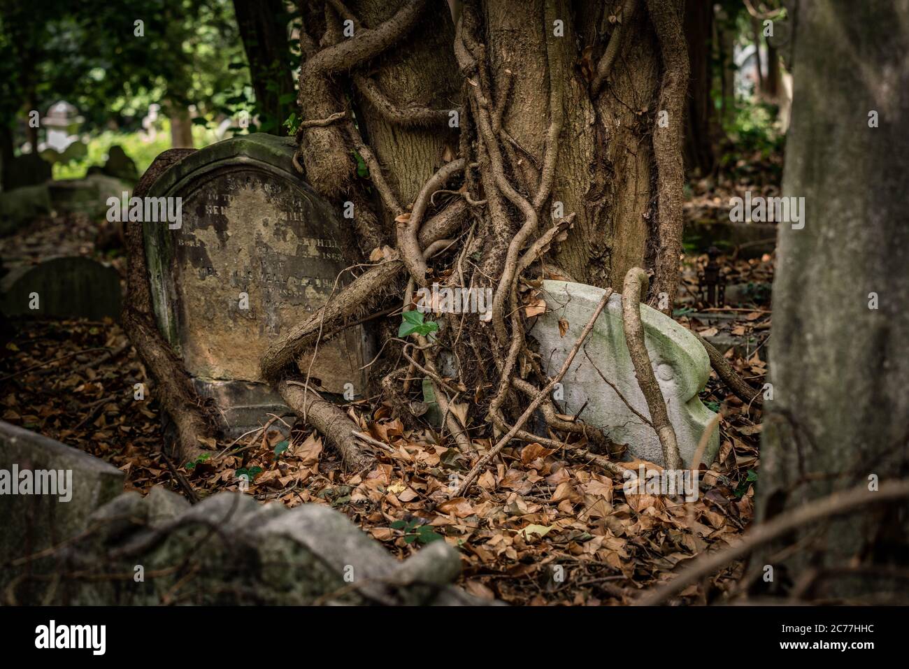 Highgate Cemetery (West) in North London, Großbritannien Stockfoto