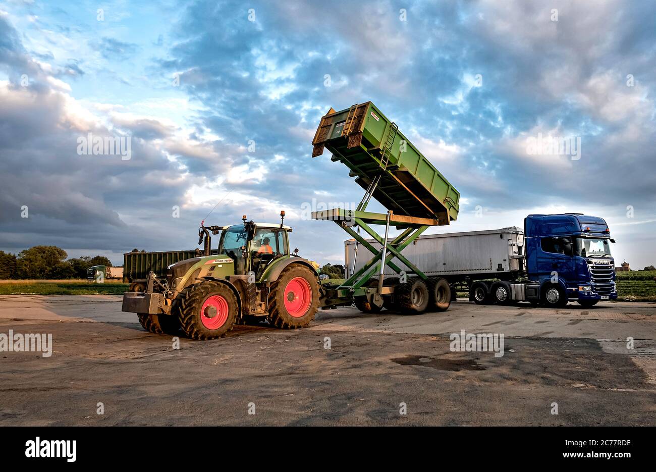 Traktor und Anhänger mit hoher Spitze entladen seine Ladung von frischen Erbsen in eine artic Einheit auf Little Snoring Airfield, North Norfolk, Großbritannien Stockfoto