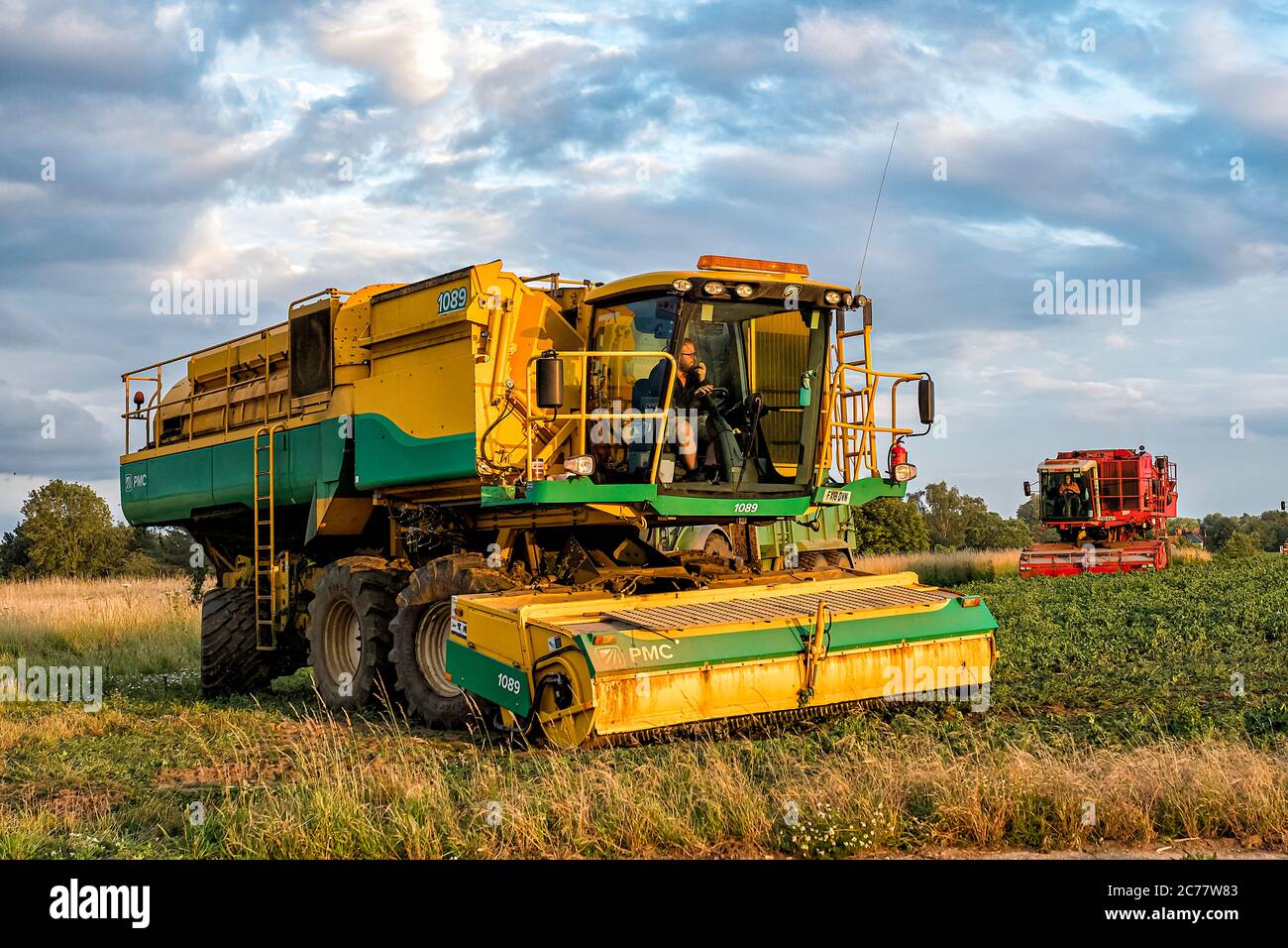 PMC Pea Harvesters in Aktion auf dem Flugplatz Little Snoring, North Norfolk, Großbritannien Stockfoto