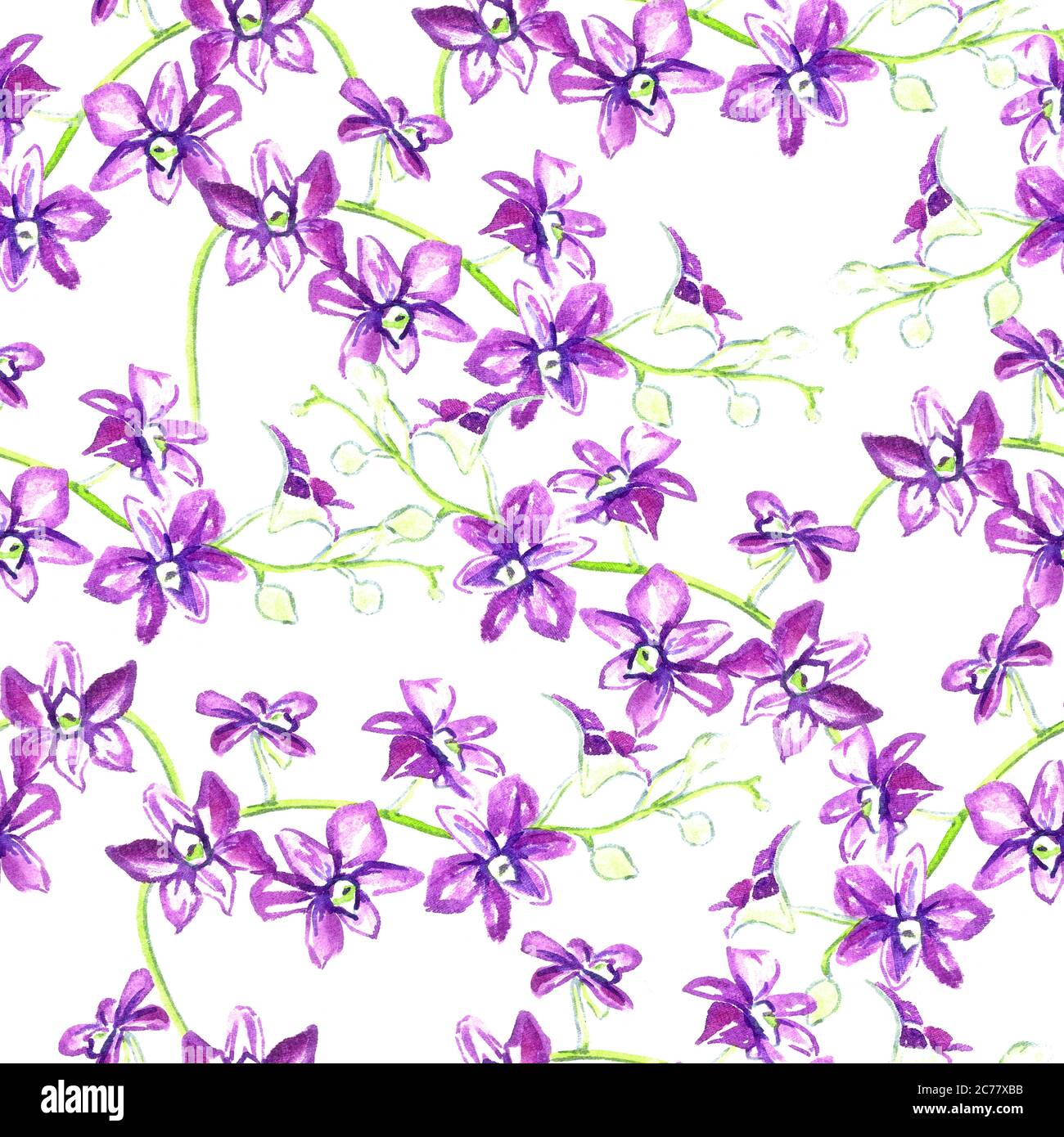 Dendrobium Orchideen Blumen isoliert auf weiß handbemalt Aquarell Illustration, nahtlose Muster-Design auf weißem Hintergrund Stockfoto