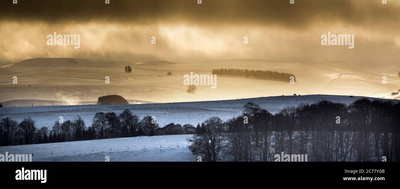 Winter im Cezallier Massiv, Regionaler Naturpark der Vulkane d'Auvergne, Puy de Dome, Frankreich, Stockfoto