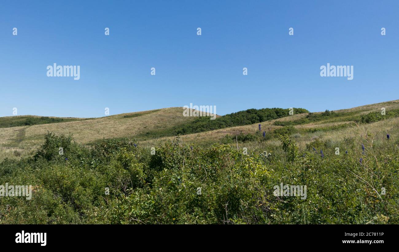 Sommerlandschaft. Grüne Hügel und blauer Himmel. Stockfoto