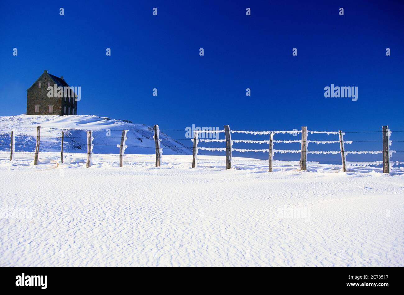 Bauernhof im Winter, Regionaler Naturpark der Vulkane d'Auvergne, Puy de Dome, Frankreich, Europa Stockfoto