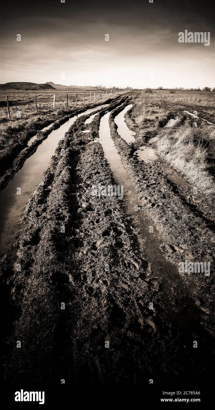 Überfluteter Weg führt zu Ackerflächen. Puy de Dome. Auvergne. Frankreich Stockfoto