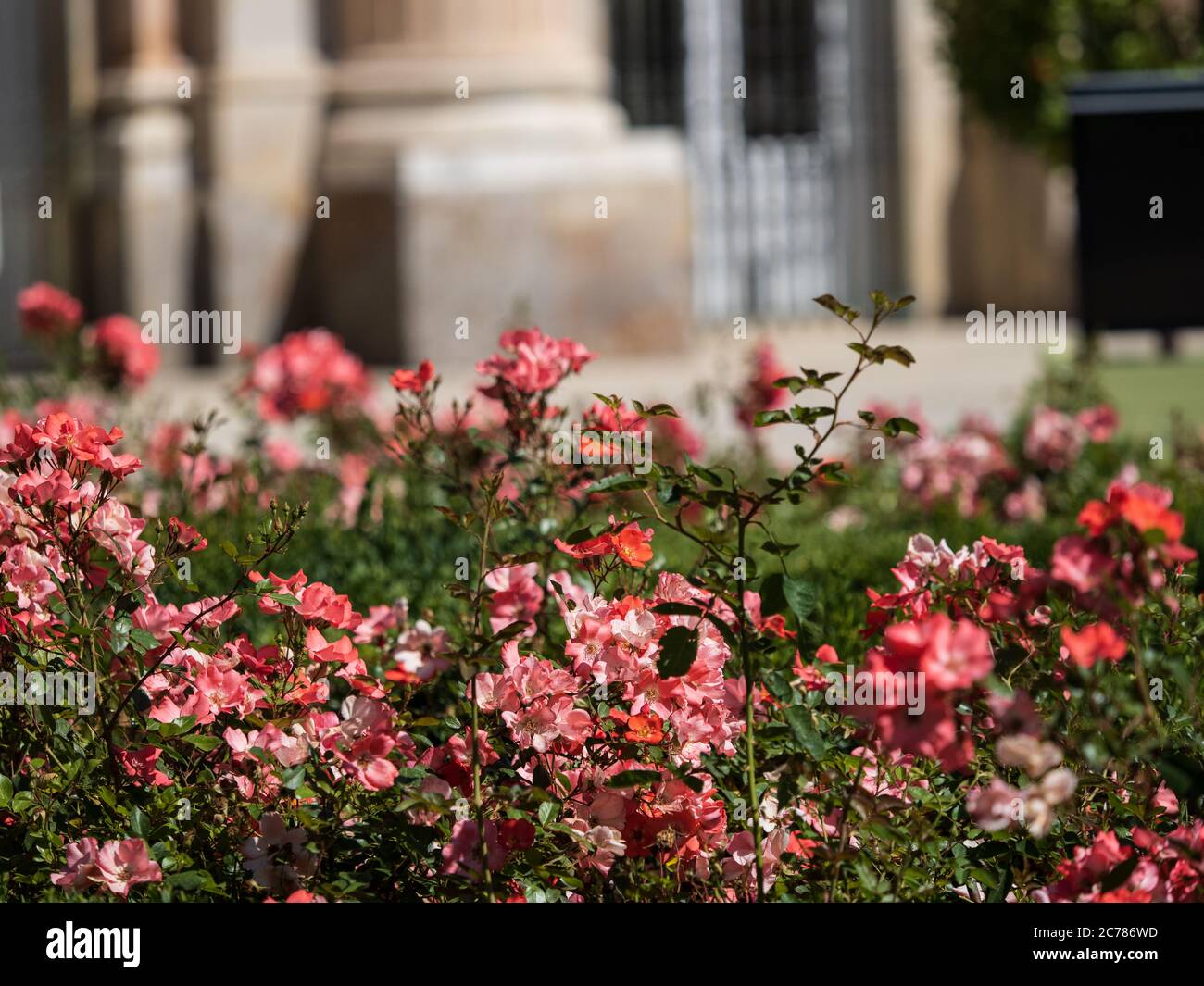 Königlicher Palast von La Granja de San Ildefonso, Segovia, Spanien Stockfoto