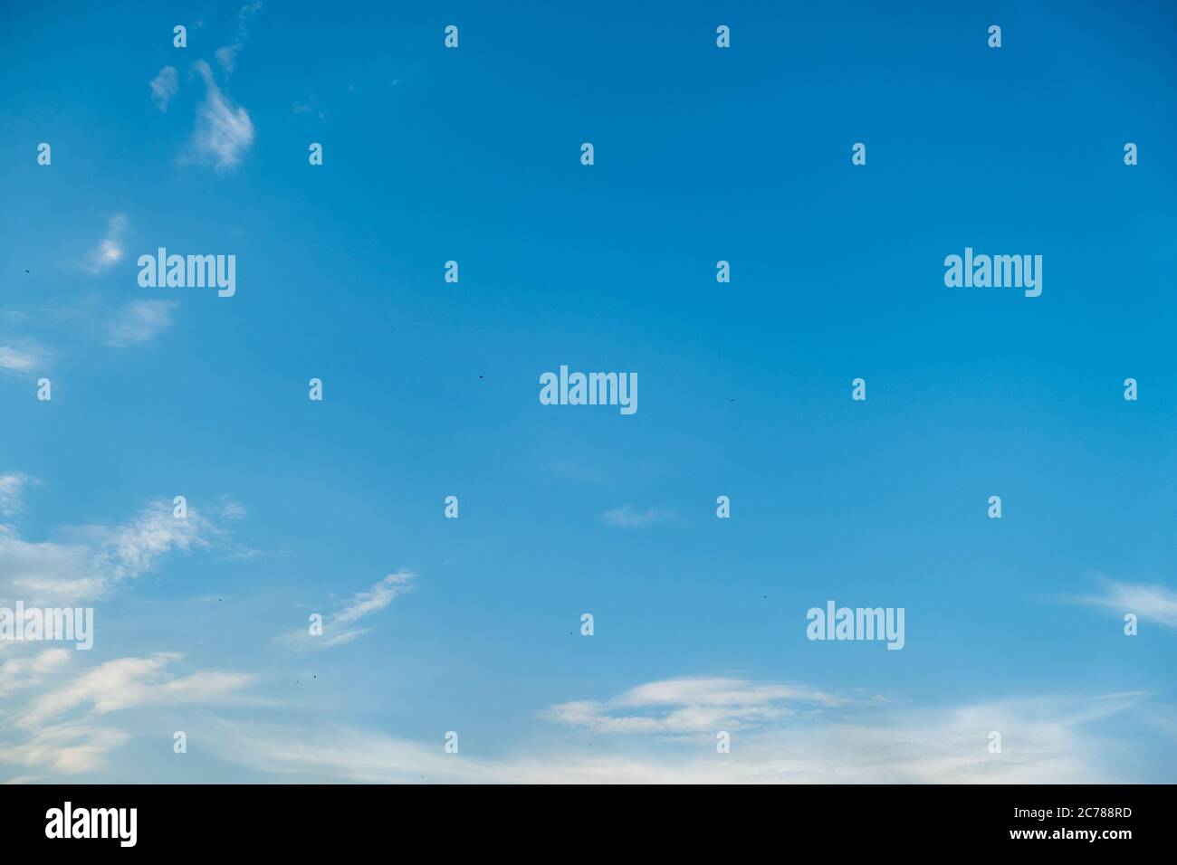 Weiße Wolken, klarer weicher Himmel, Wolkenlandschaft. Himmel im schönen Sommer sonnigen Tag, mit Vögeln, buntes Wetter. Stockfoto