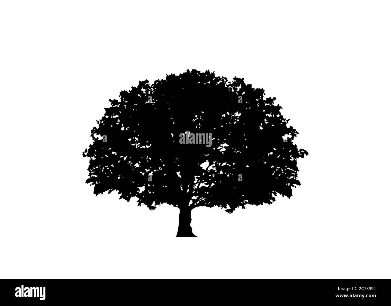 Eichenbaum Vektor, grüne Ökologie biologische Logo Illustration. Vektor schwarze Silhouette eines Baumes isoliert oder weißen Hintergrund , biodynamische Landwirtschaft Stock Vektor