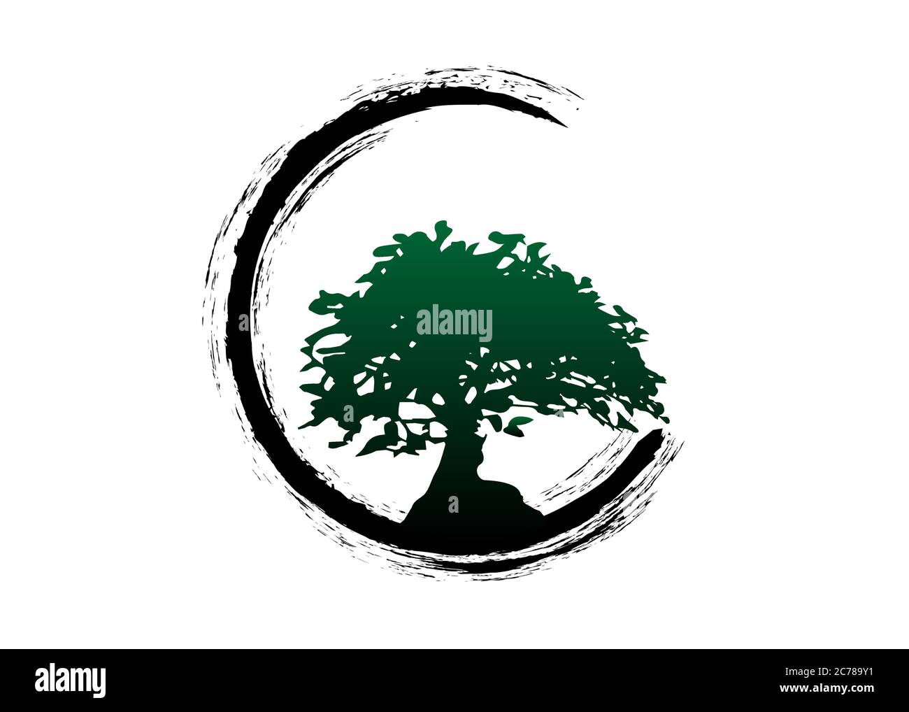 Japanischer Bonsai-Baum-Logo, Pflanze Silhouette Symbole auf weißem Hintergrund, grüne Ökologie Silhouette von Bonsai. Detailbild. Bio Natur Konzept isoliert Stock Vektor