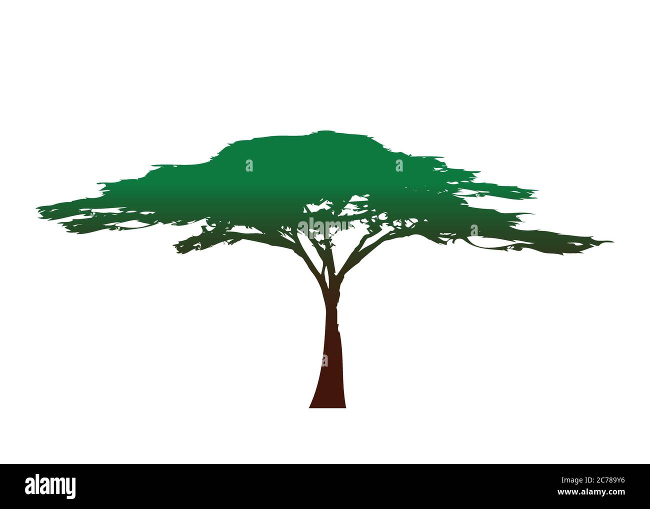 Afrikanischer tropischer Baum Logo Symbol, Akazienbaum Savannah Silhouette, grüne Natur Safari Ökologie Konzept, biologische Konzept Naturschutz Zeichen Stock Vektor