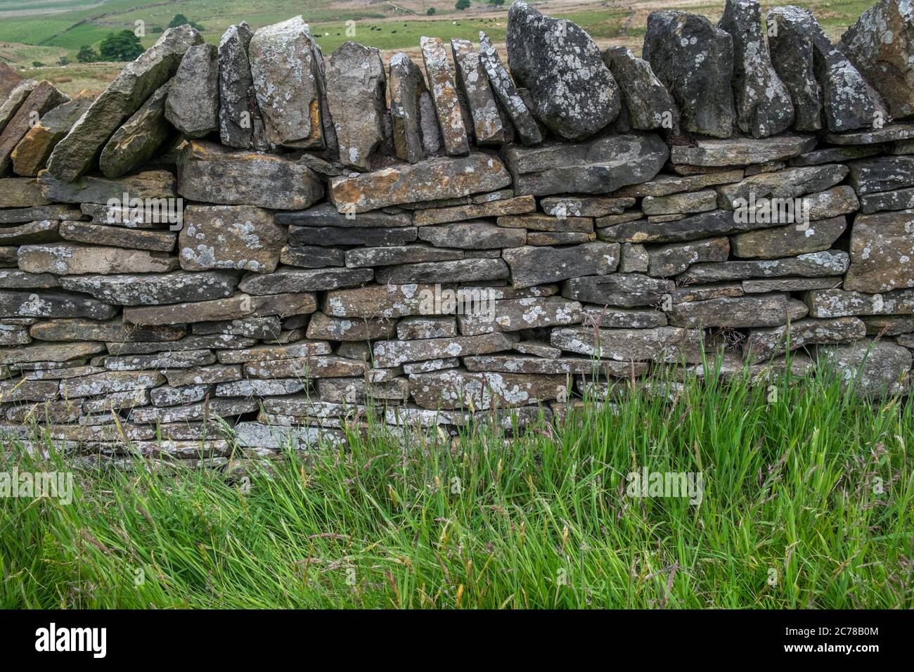 Trockensteinmauer auf den Mooren. Stockfoto