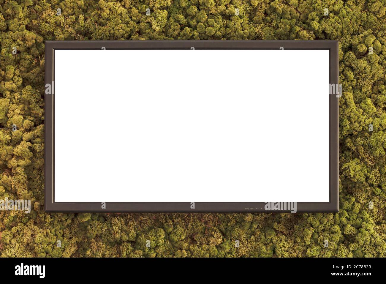 HD-Fernseher mit weißem Bildschirm auf einem naturinspirierten Hintergrund mit grünem Moos bedeckt Stockfoto