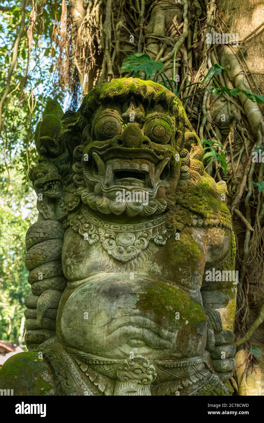 Blick auf den heiligen Affenwald in Ubud Stockfoto