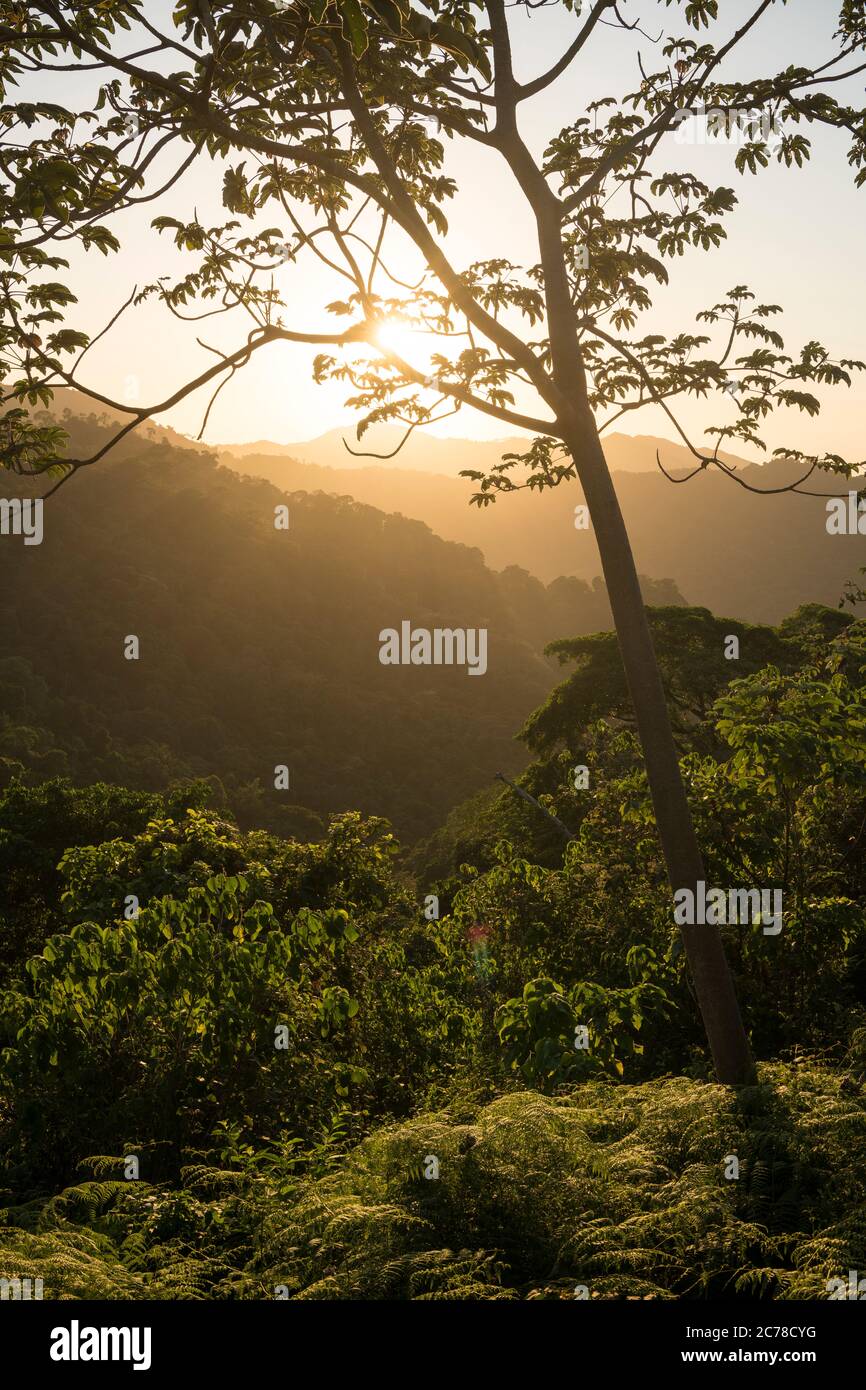 Blick auf Landschaft bei Sonnenuntergang in der Nähe von Minca, Magdalena Department, Karibik, Kolumbien, Südamerika Stockfoto