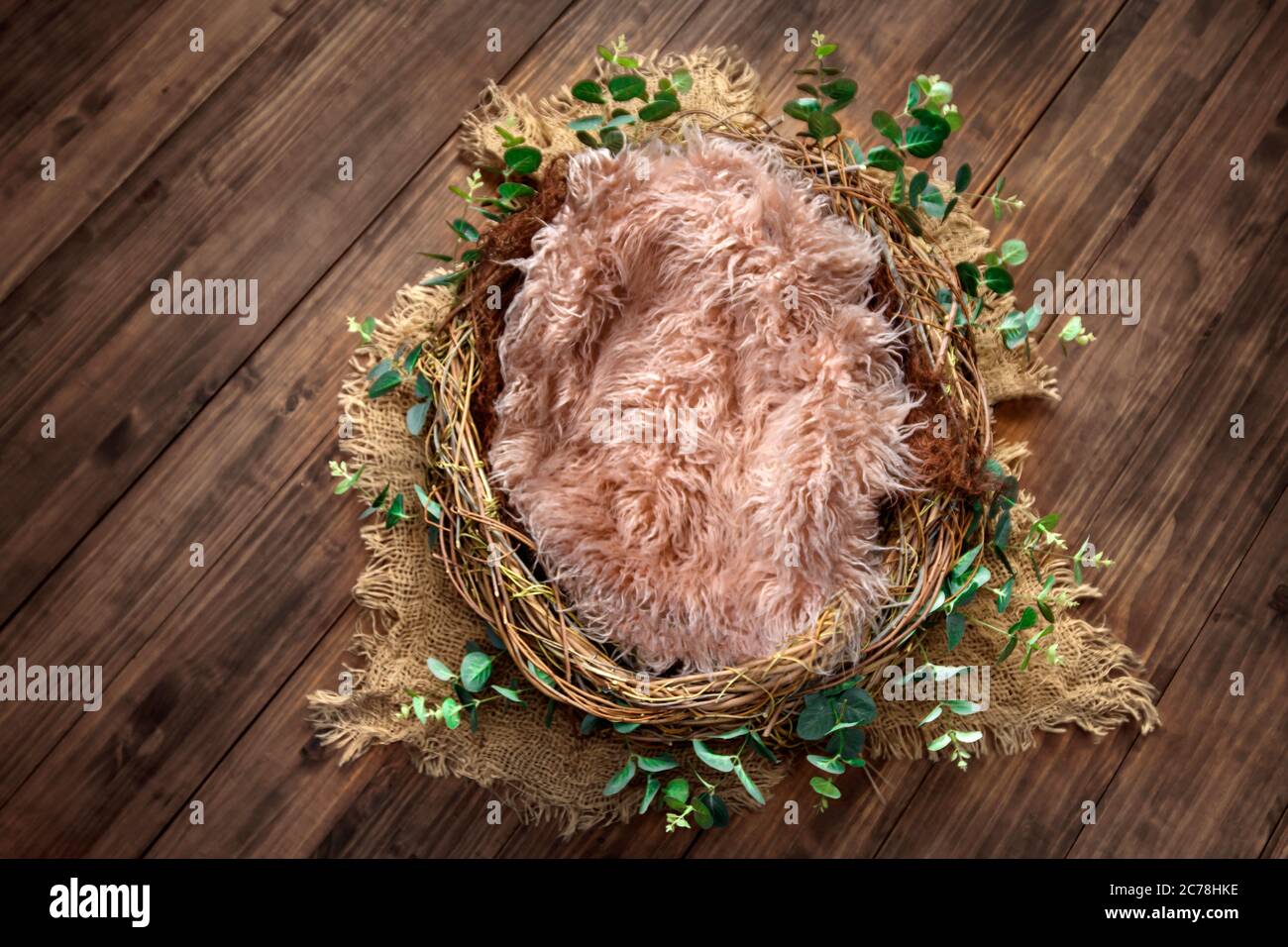 Digitale neugeborene Fotografie Hintergrund, Vogelnest auf Holz Stockfoto