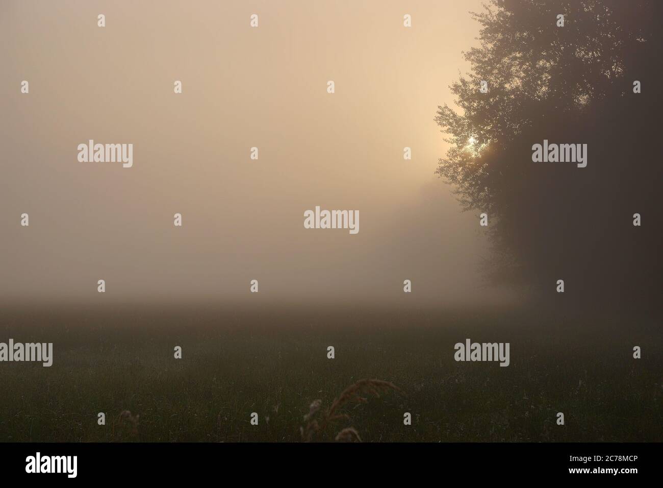 Die aufgehende Sonne durch den Herbstnebel gesehen Stockfoto